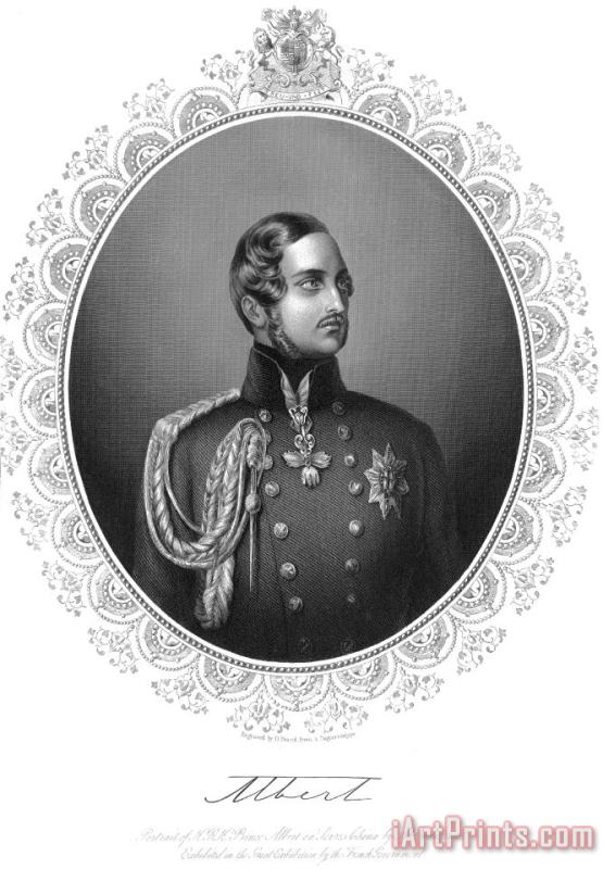 Prince Albert (1819-1861) painting - Others Prince Albert (1819-1861) Art Print