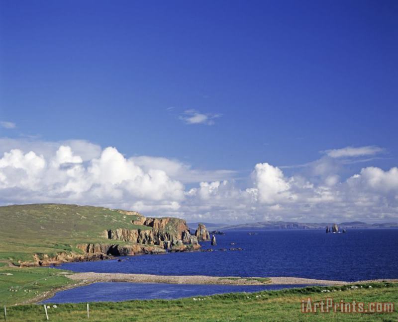 Scotland Shetland Islands Eshaness Cliffs painting - Others Scotland Shetland Islands Eshaness Cliffs Art Print