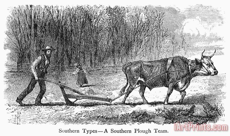 Others Southern Farmer, 1875 Art Print