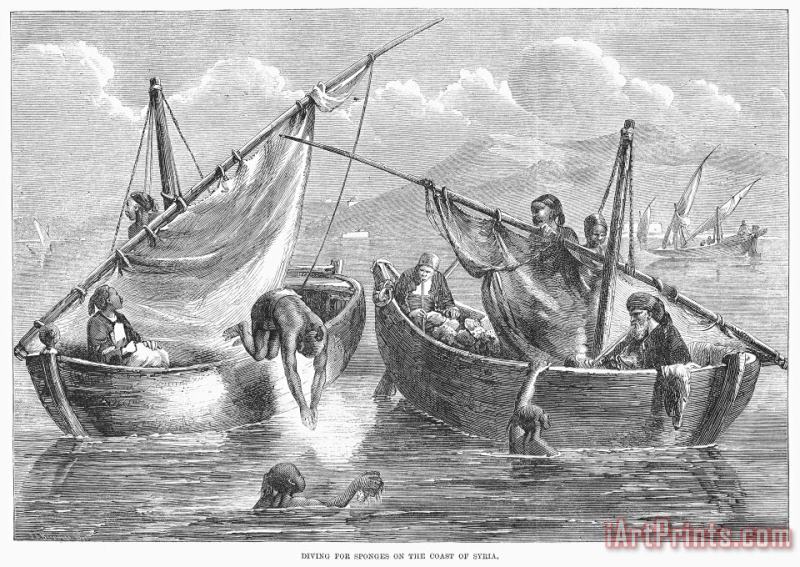 Others Syria: Sponge Divers, 1862 Art Painting