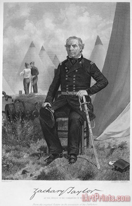 Others Zachary Taylor (1784-1850) Art Painting
