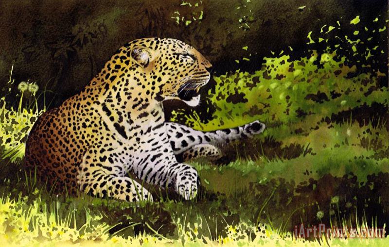Paul Dene Marlor African Leopard Art Print