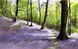 Paul Dene Marlor - Bluebell wood painting