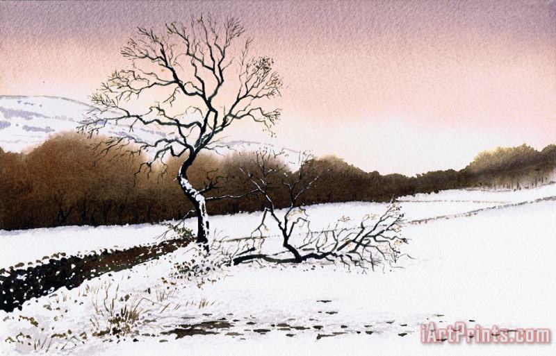 Paul Dene Marlor Fallen Tree Stainland Art Painting