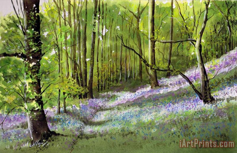 Paul Dene Marlor Path through bluebell wood Art Print