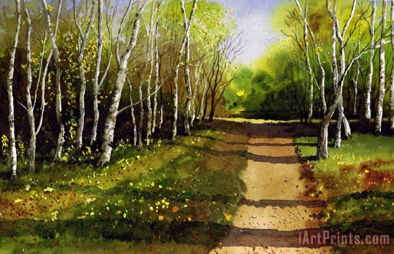 Path through Silver Birches painting - Paul Dene Marlor Path through Silver Birches Art Print