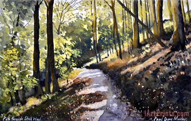 Path Through Strid Wood painting - Paul Dene Marlor Path Through Strid Wood Art Print