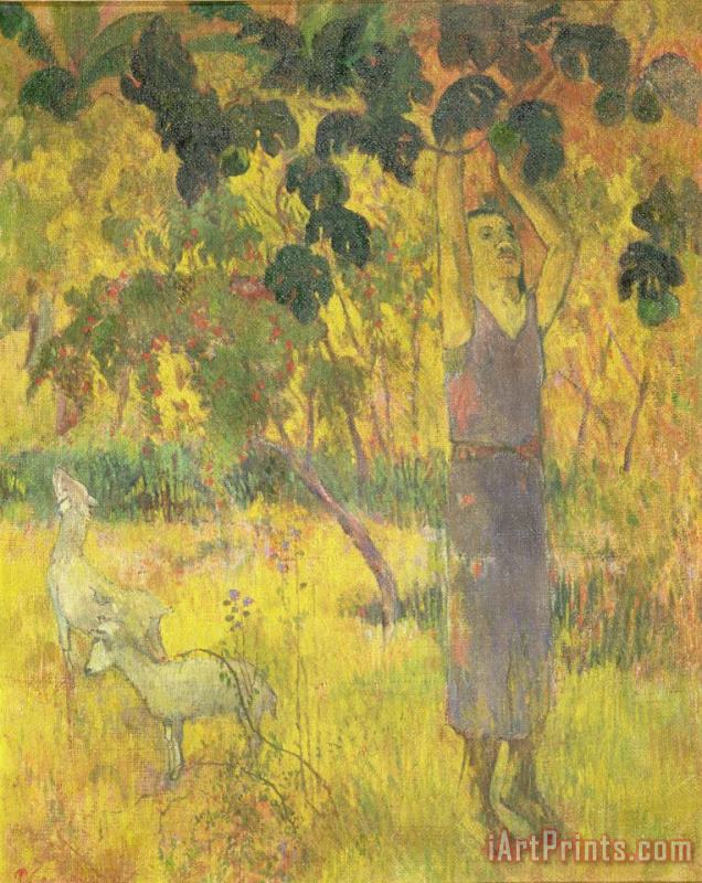 Paul Gauguin Picking Fruit from a Tree Art Painting