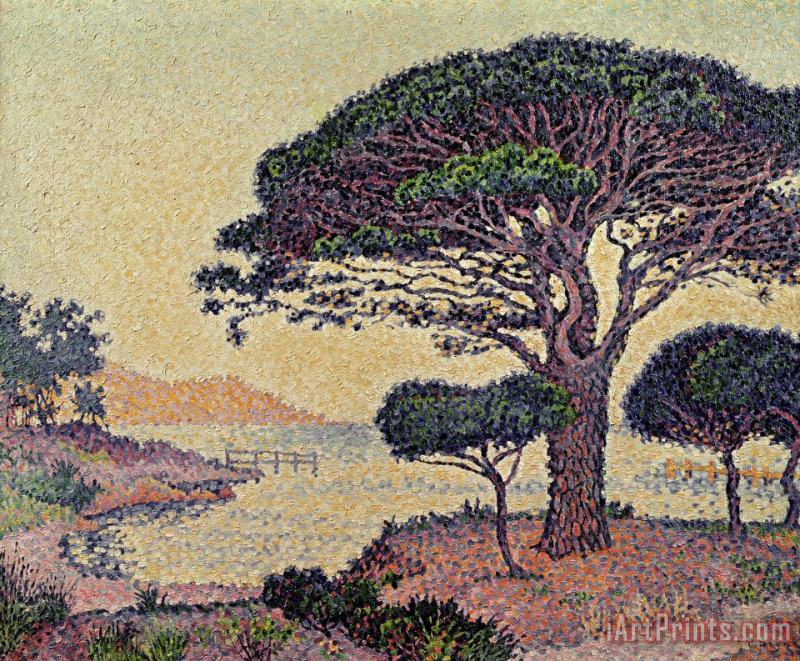 Umbrella Pines at Caroubiers painting - Paul Signac Umbrella Pines at Caroubiers Art Print