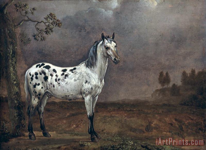 The Piebald Horse painting - Paulus Potter The Piebald Horse Art Print