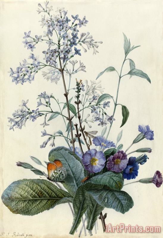 Pierre Joseph Redoute A Bouquet of Flowers with Insects Art Print