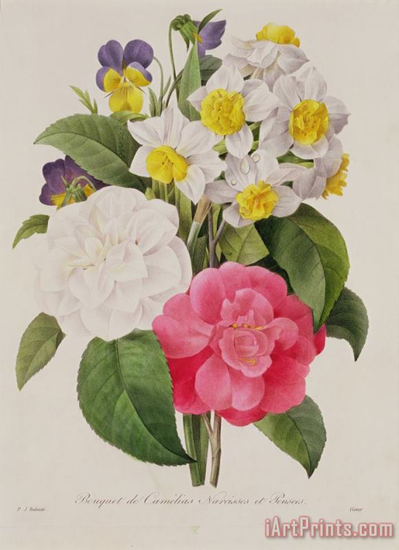 Pierre Joseph Redoute Camellias Narcissus And Pansies Art Painting
