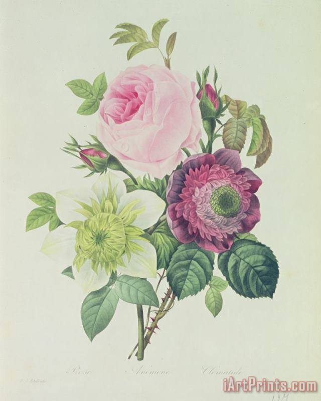 Pierre Joseph Redoute Rose Art Painting