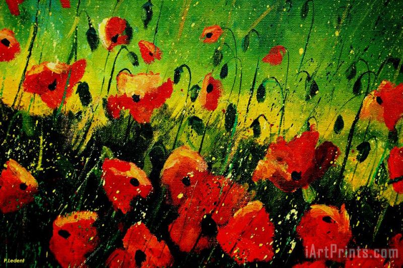 Poppies Poppies painting - Pol Ledent Poppies Poppies Art Print