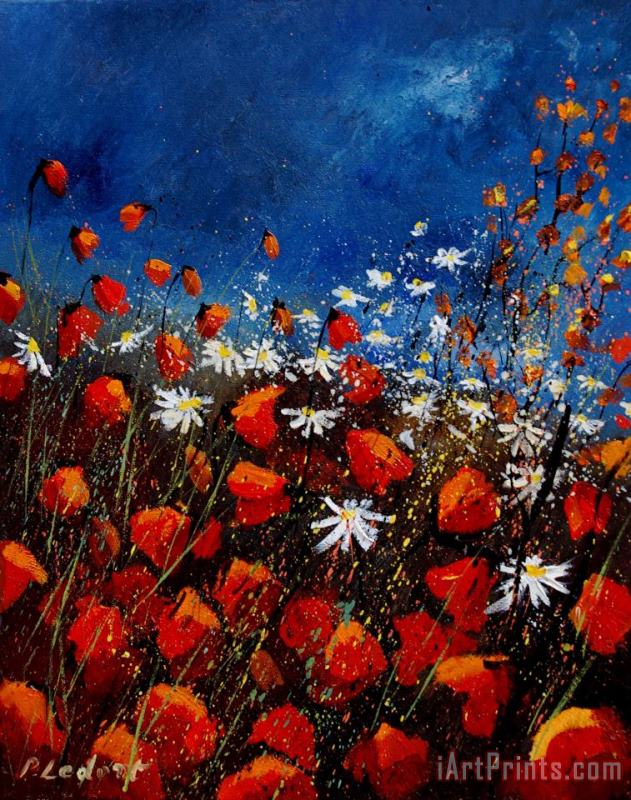 Red Poppies 451108 painting - Pol Ledent Red Poppies 451108 Art Print