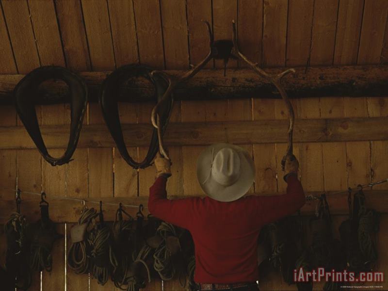 Raymond Gehman An Outfitter Hangs a Set of Elk Antlers on a Cabin Wall Art Painting