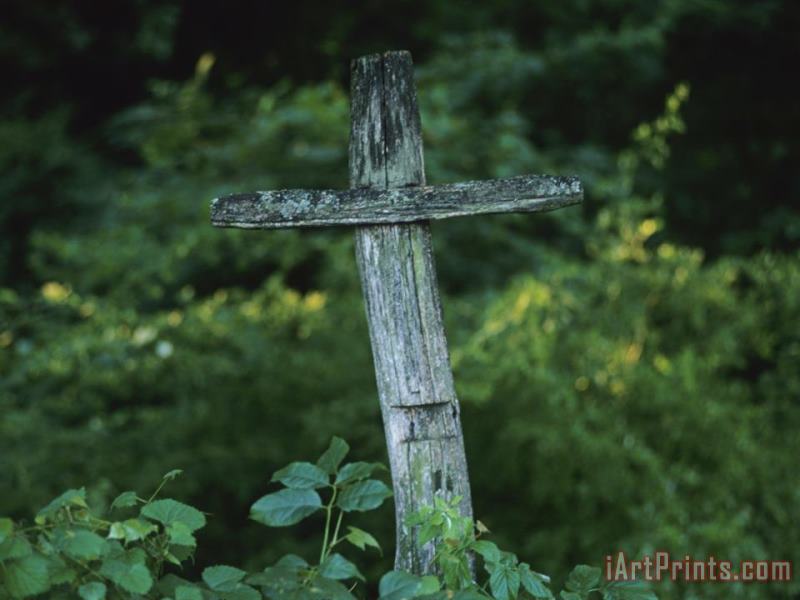 Broken Fence Post Forms a Cross painting - Raymond Gehman Broken Fence Post Forms a Cross Art Print