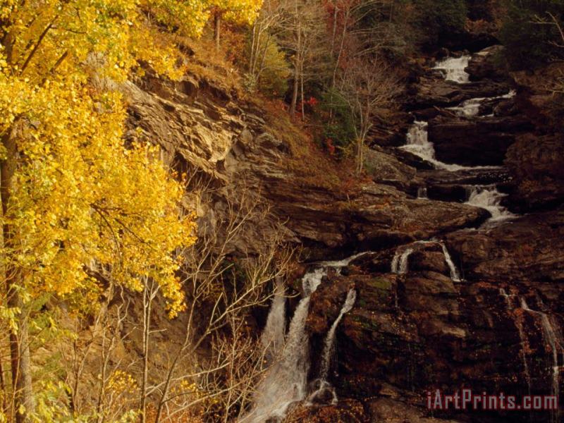 Raymond Gehman Creek Running Through Forest in Autumn Hues in Cullasaja Gorge Art Print