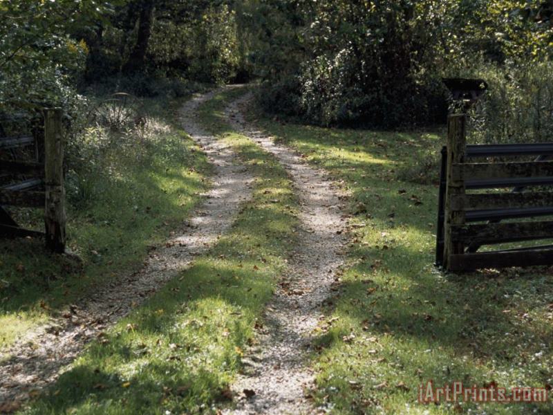 Driveway And Gate Through a Peaceful Woodland Setting painting - Raymond Gehman Driveway And Gate Through a Peaceful Woodland Setting Art Print