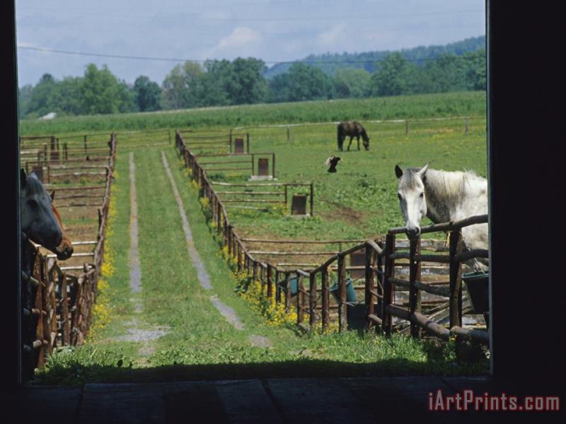Raymond Gehman Farm Scene with Horses Grazing in Fenced Green Fields Near a Barn Art Print