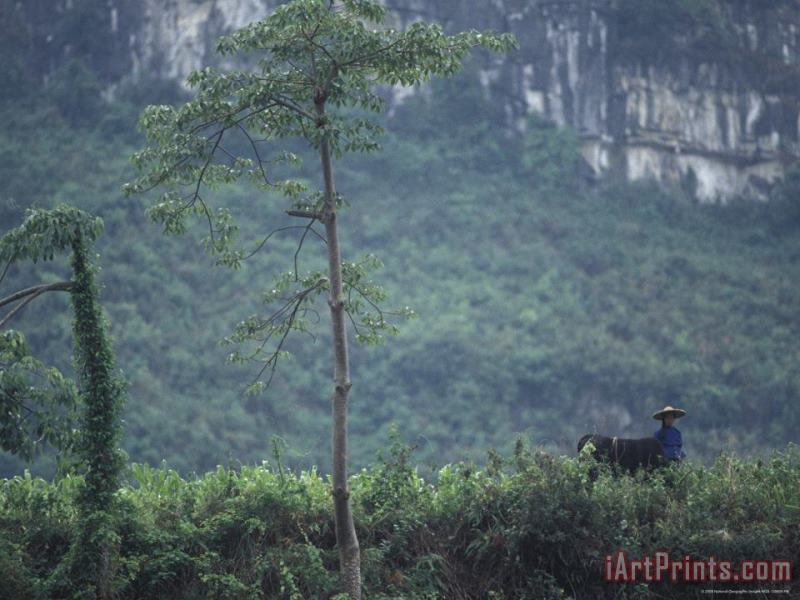 Farmer Water Buffalo Limestone Karst Mountains Behind Guangxi painting - Raymond Gehman Farmer Water Buffalo Limestone Karst Mountains Behind Guangxi Art Print