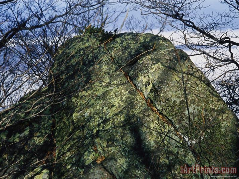 Raymond Gehman Greenstone Rock Covered with Lichens on Thunder Ridge Art Print