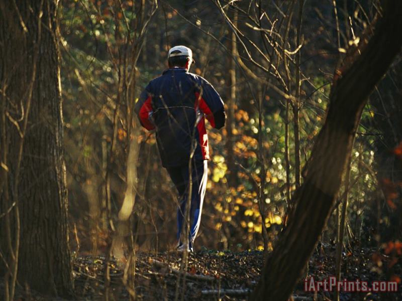 Jogger Running on Sun Dappled Trail Through Rock Creek Park painting - Raymond Gehman Jogger Running on Sun Dappled Trail Through Rock Creek Park Art Print