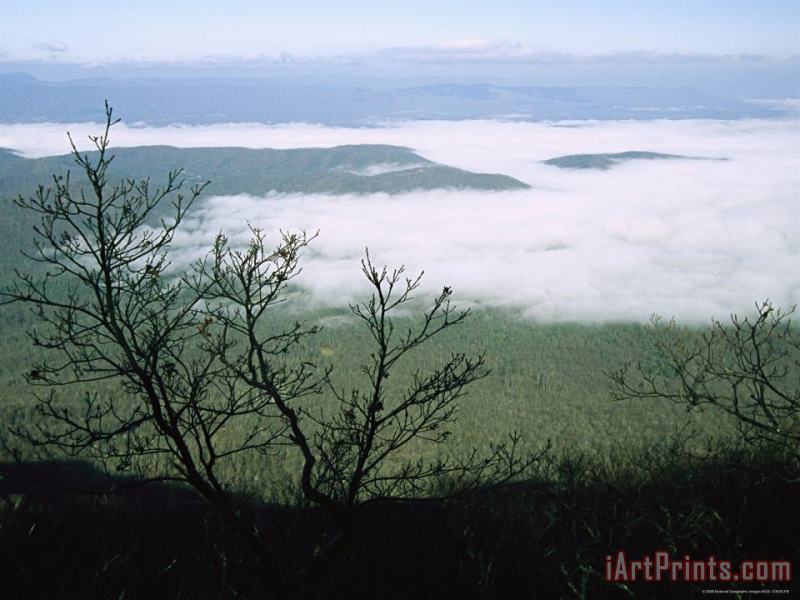 Raymond Gehman Morning Fog Blankets Thunder Ridge in Jefferson National Forest Art Painting