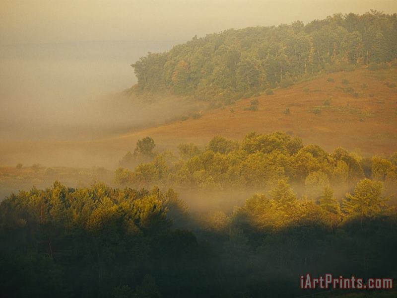 Morning Fog Rises From The Forest painting - Raymond Gehman Morning Fog Rises From The Forest Art Print