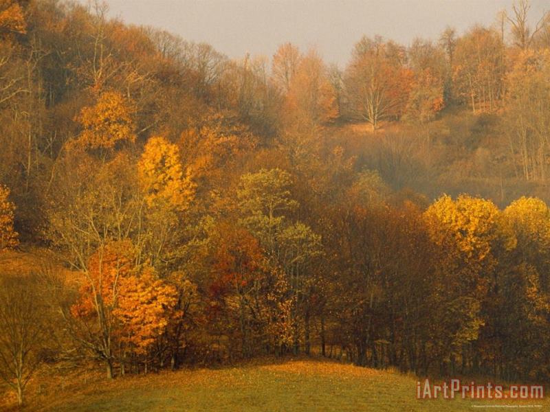 Morning View of Autumn Colors in The Jefferson National Forest painting - Raymond Gehman Morning View of Autumn Colors in The Jefferson National Forest Art Print