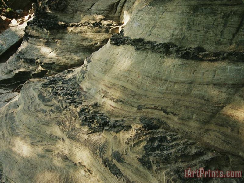 Raymond Gehman Quartzite Metamorphosed Sandstone at Base of Pilot Mountain Art Print