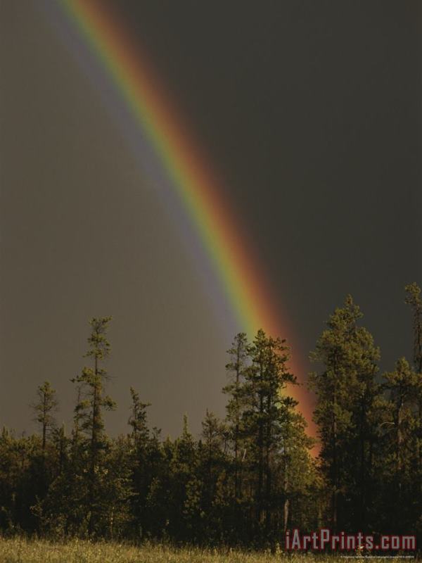 Raymond Gehman Rainbow Arches Above a Stone Mountain Forest Following a Rainstorm Art Print