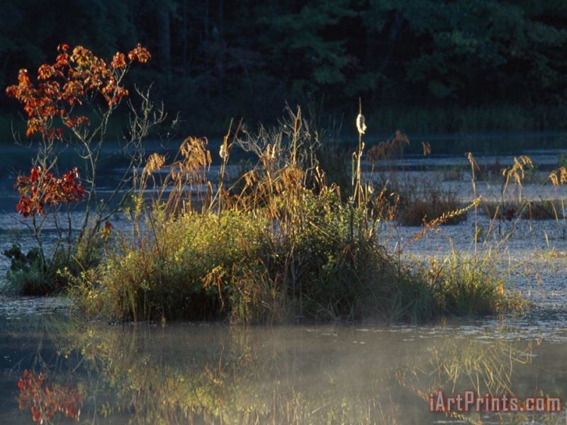 Raymond Gehman Reflections And Autumn Hues at Sloans Crossing Pond Art Print