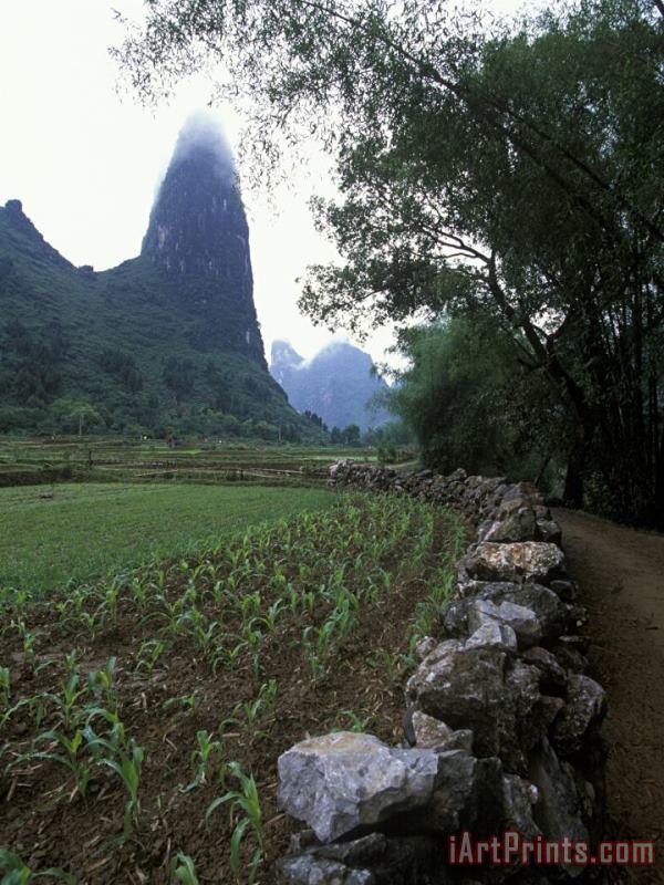Raymond Gehman Rock Wall And Farm Fields Along The Li River Guilin Guangxi China Art Print