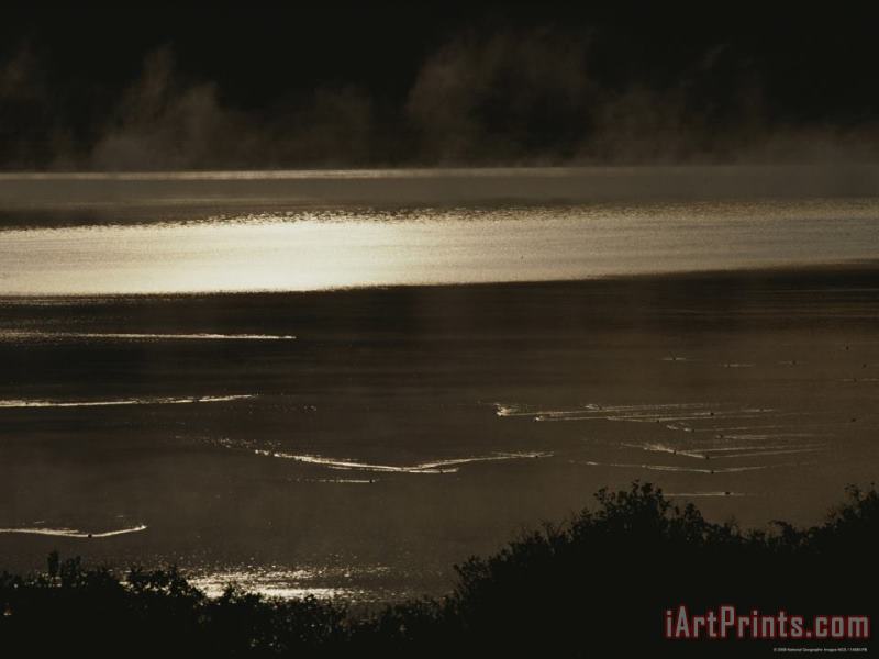 Raymond Gehman Shimmering View of Swan Lake Art Painting