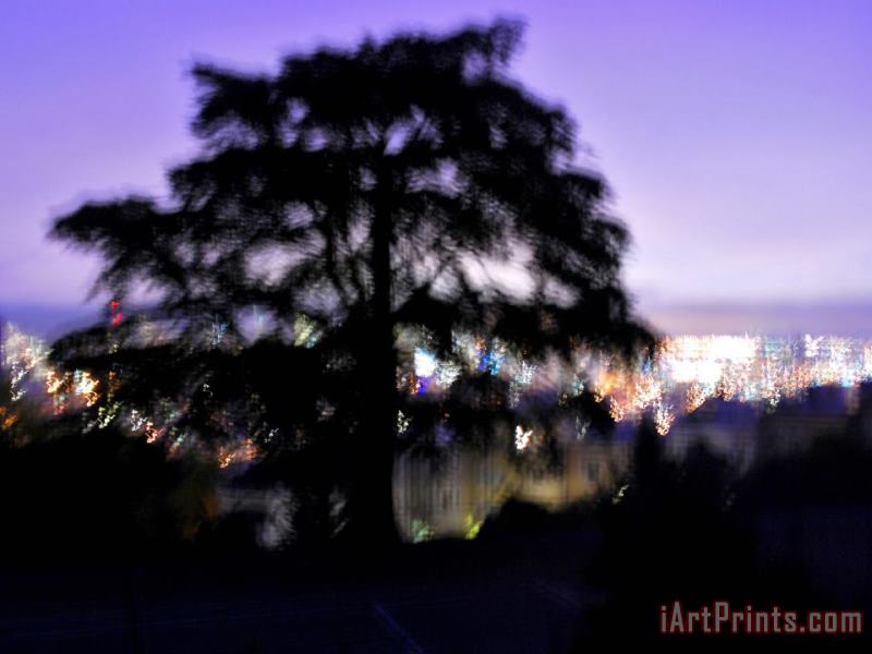 Raymond Gehman Silhouette of Tree with San Francisco in Background Art Print
