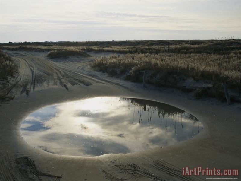 Sky Reflected in a Rain Puddle on a Beach Road painting - Raymond Gehman Sky Reflected in a Rain Puddle on a Beach Road Art Print