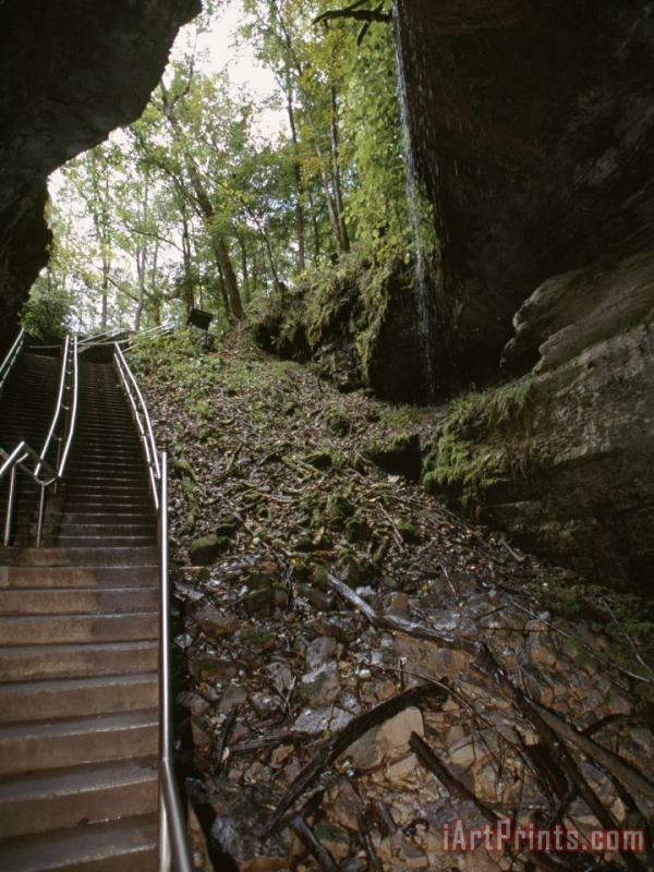 Stairway Leading Down Into Mammoth Cave painting - Raymond Gehman Stairway Leading Down Into Mammoth Cave Art Print