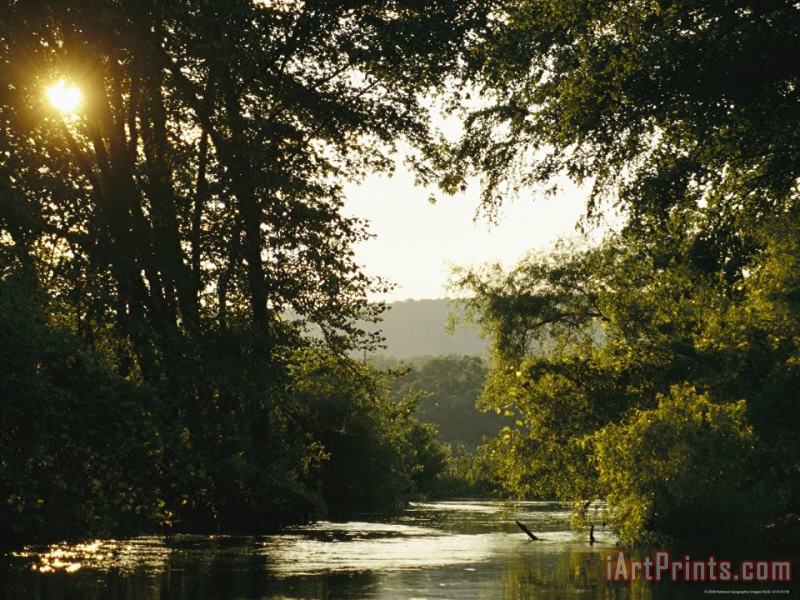 Sunset Above a Riparian Forest Bordering The Susquehanna River painting - Raymond Gehman Sunset Above a Riparian Forest Bordering The Susquehanna River Art Print