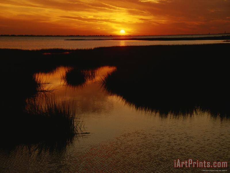 Sunset Over a Salt Marsh with Cordgrass painting - Raymond Gehman Sunset Over a Salt Marsh with Cordgrass Art Print