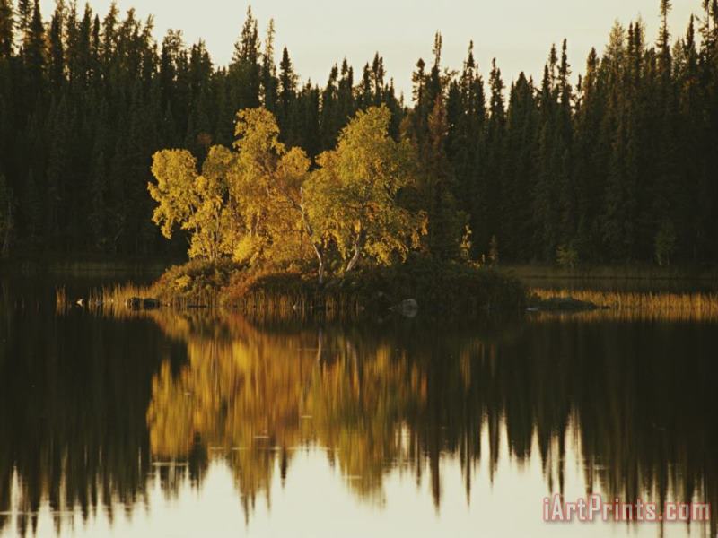 Surrounding Forest Is Reflected in The Still Lake painting - Raymond Gehman Surrounding Forest Is Reflected in The Still Lake Art Print