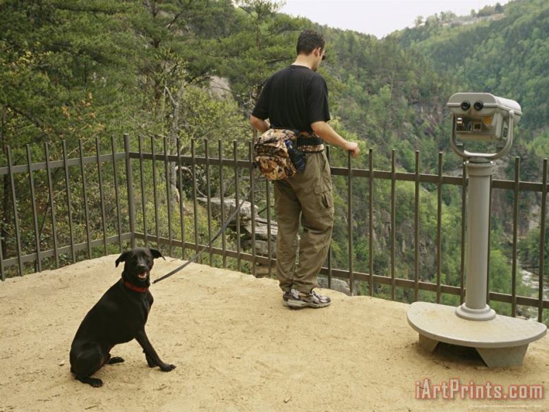 Tourist And His Dog Take in The View From a Scenic Overlook painting - Raymond Gehman Tourist And His Dog Take in The View From a Scenic Overlook Art Print