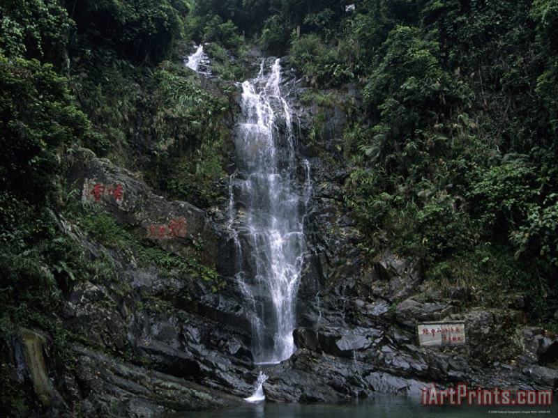 Raymond Gehman Waterfall Cascading Down Rock Face in Subtropical Rainforest Art Print