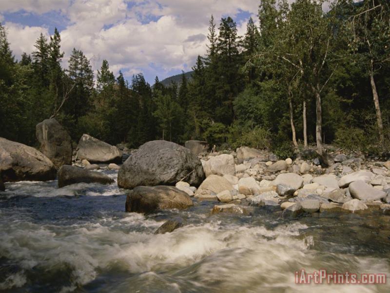Raymond Gehman White Water Rapids Roll Over Rocks in a River Running Through Woods Art Print