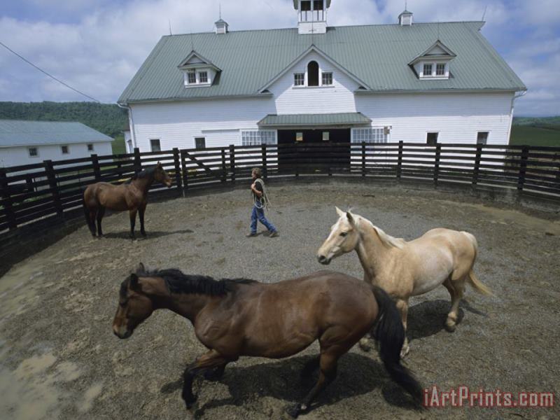 Raymond Gehman Woman with Her Horses in a Fenced Pen Outside The Stables Art Print
