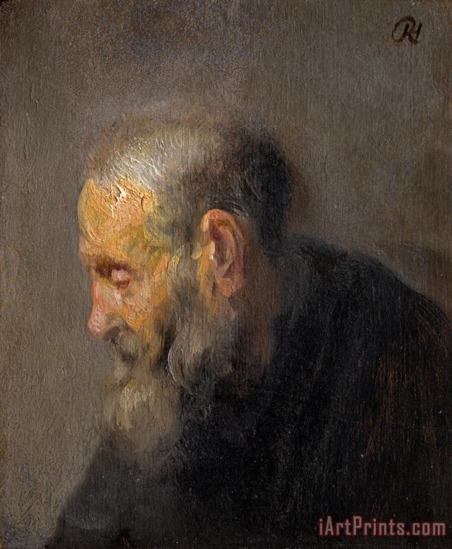 Rembrandt Harmensz van Rijn Study of an Old Man in Profile Art Print