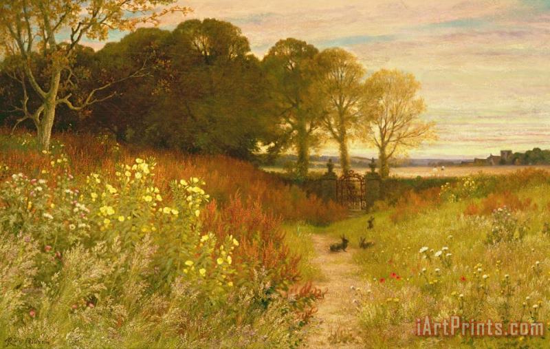 Robert Collinson Landscape with Wild Flowers and Rabbits Art Print