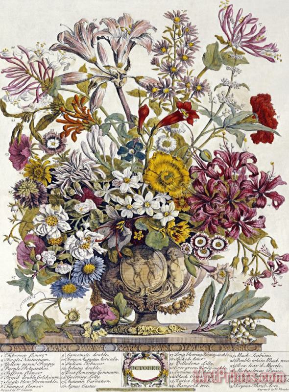 Robert Furber October Twelve Months of Flowers Art Print