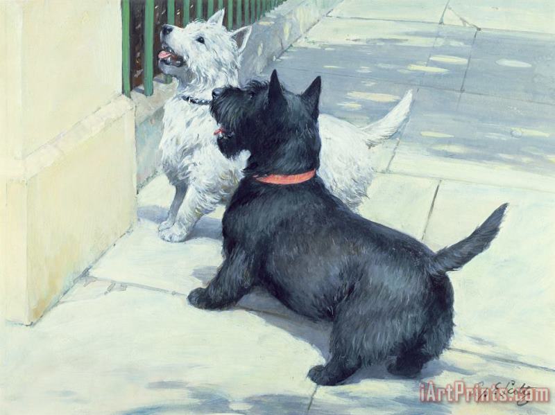 Black and White Dogs painting - Septimus Edwin Scott Black and White Dogs Art Print