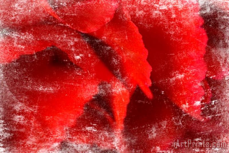 Sia Aryai Carnation Red I Art Painting